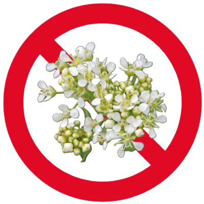 White Top image superimposed on a prohibited circle